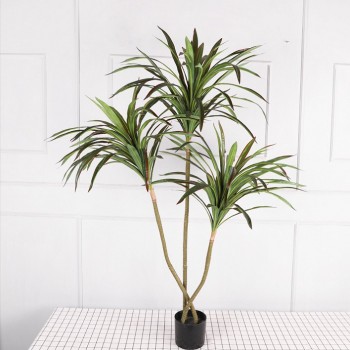 Cây phát tài núi giả trang trí phòng khách đẹp